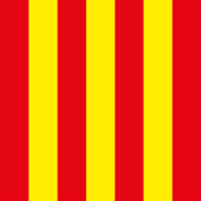 deKartshop.nl Rood / Gele vlag 80x80CM