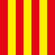 deKartshop.nl Rood / Gele vlag 80x80CM