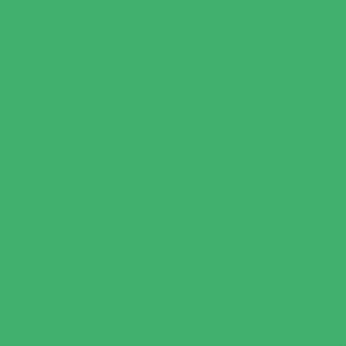 deKartshop.nl Groene vlag 80x80CM