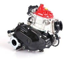Rotax Max Rotax DD2 kale motor