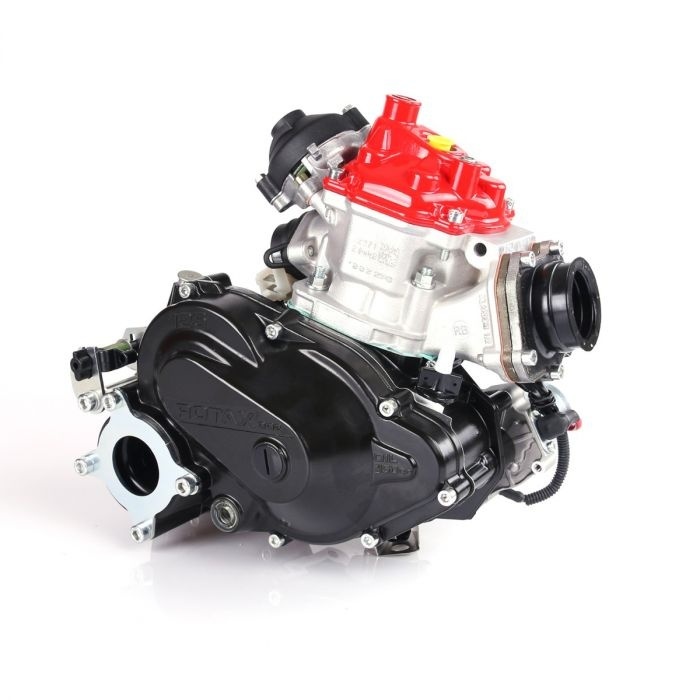 Rotax Max Rotax DD2 kale motor