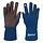 Speed handschoenen Sydney 2.0 Blauw