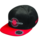 Sparco pet youth baseball