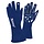 Speed handschoenen Auckland 2.0 Blauw