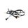 Rotax max kabelboom EVO 1