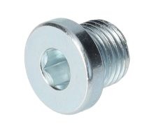 Tillotson Schroefdop Olieleiding M10 1 Stuk