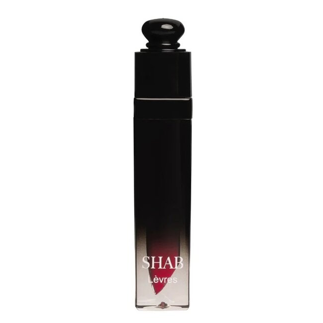 LÈVRES LIQUID MATTE LIPSTICK Punch