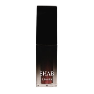 SHAB Cosmetics LÈVRES LIPGLOSS Spicy