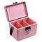  Brisby Koelbox 12L met draagband Roze
