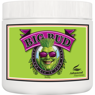 Advanced Nutrients Advanced Nutrients Big Bud Powder 500 g