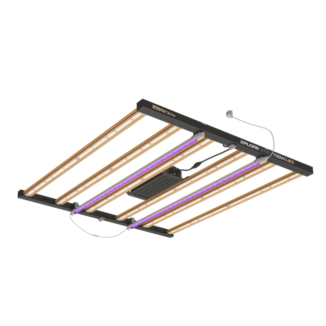 Dimlux Xplore 730W