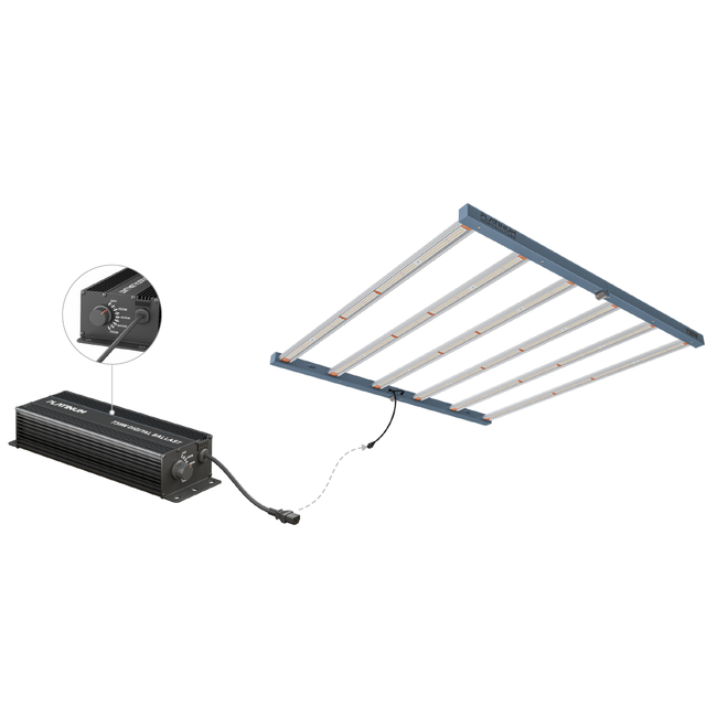 Platinum King LED 735W