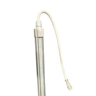 POWERLUX POWERLUX CLONE LED 24W