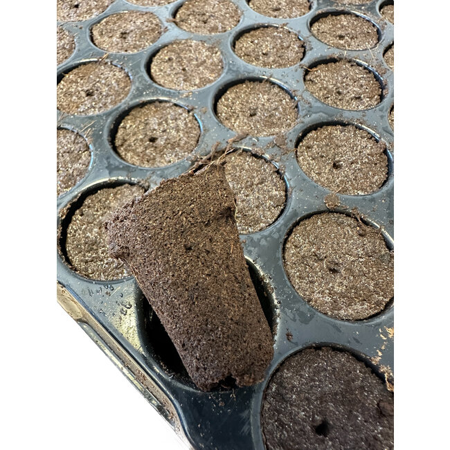 EASY CLONE Plug Tray 104 Easy Clone