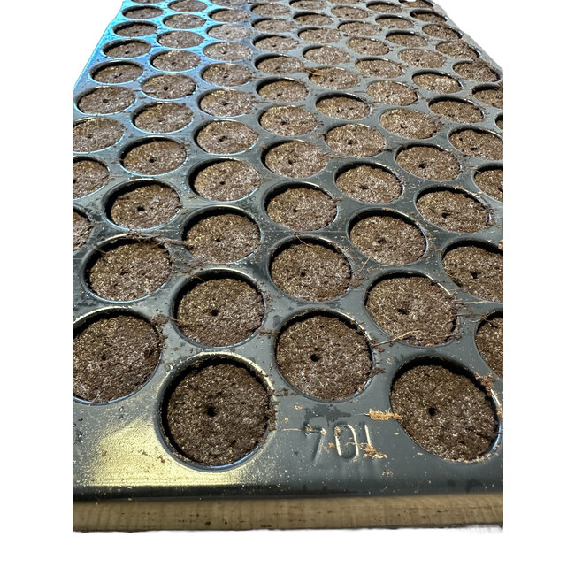 EASY CLONE Plug Tray 104 Easy Clone