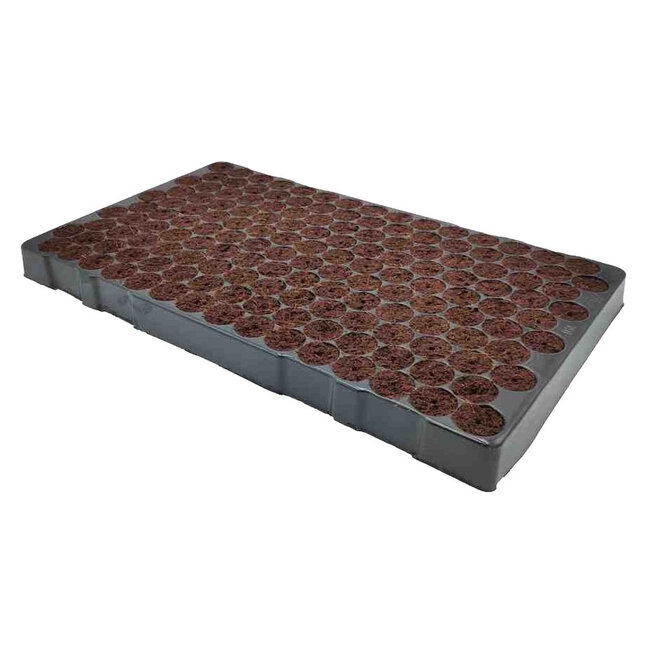 EASY CLONE Bandeja de enchufe 150 Easy Clone Pro