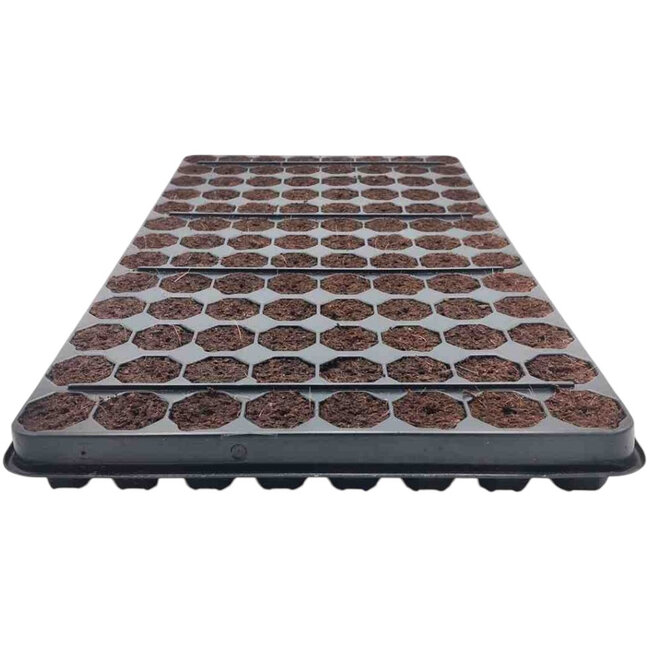 EASY CLONE Plugtray 104 Easy Clone Pro