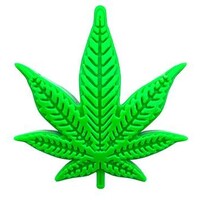 Sodapup Colorado Maple Leaf