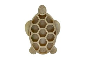 Sodapup Turtle Nylon