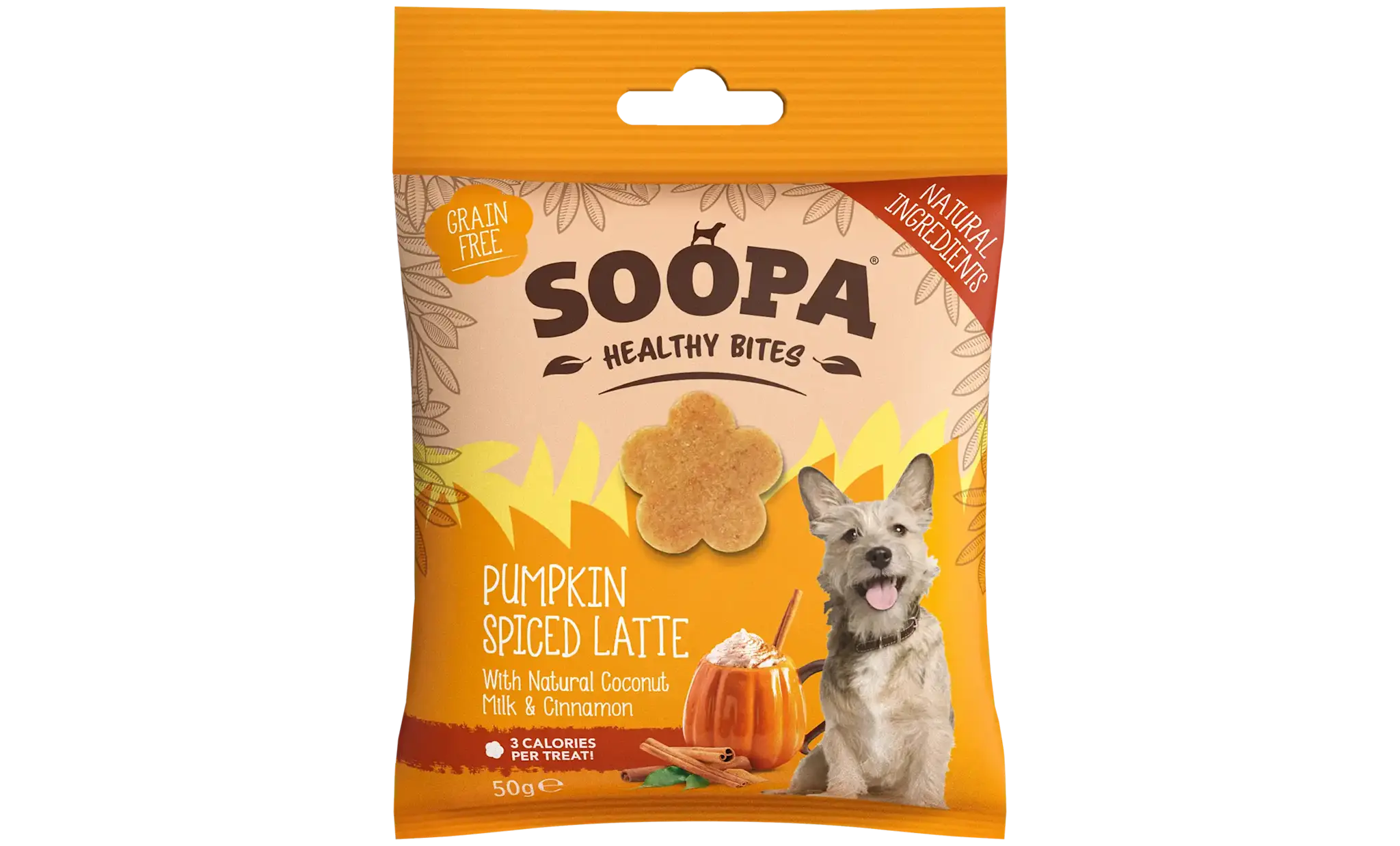 Soopa Pumpkin Spiced Latte Healthy Bites