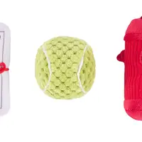 ZippyPaws Miniz 3-Pack Dog’s Best Friends