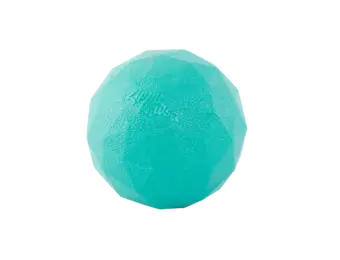 ZippyPaws ZippyTuff – Waggle Ball