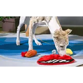 HugSmart Food Party – BBQ Grill