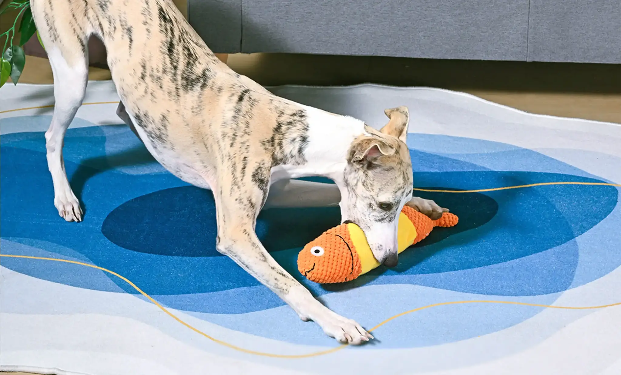 HugSmart Food Party – Shaky Fish Taco