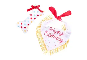 ZippyPaws Birthday Bandana and Bone 2-pack