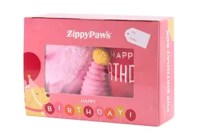 ZippyPaws Pup Birthday Box Pink
