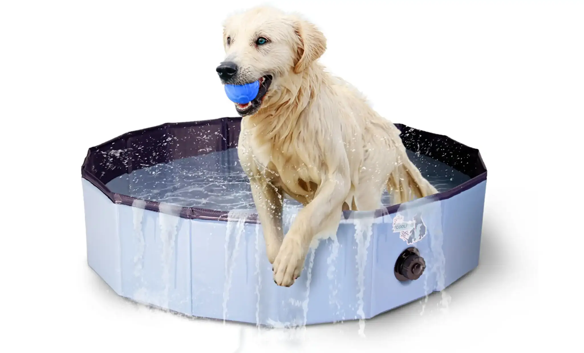 Coolpets Splash Dog Pool