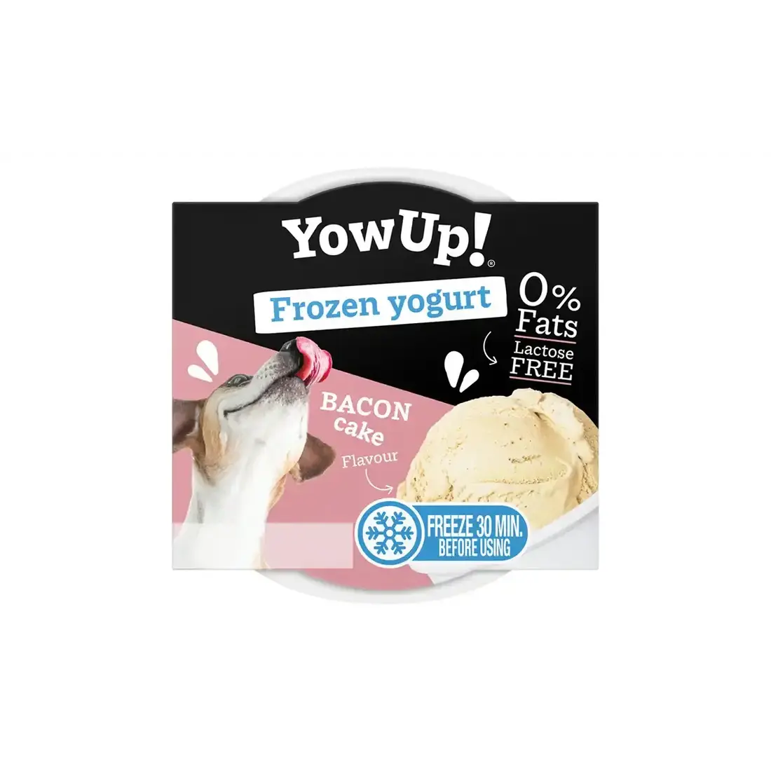 YowUp! Frozen Yogurt Bacon Cake