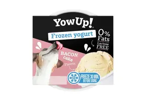 YowUp! Frozen Yogurt Bacon Cake