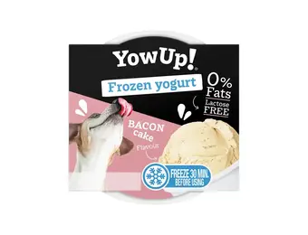 YowUp! Frozen Yogurt Bacon Cake