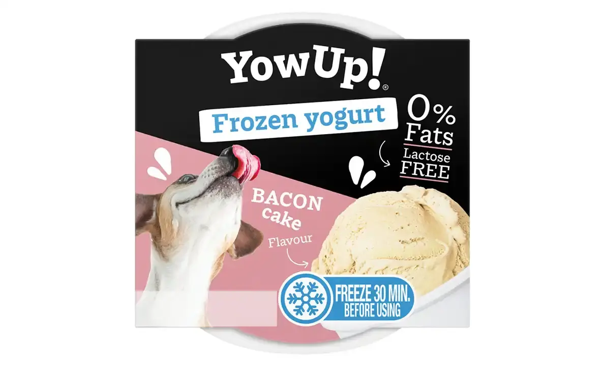 YowUp! Frozen Yogurt Bacon Cake