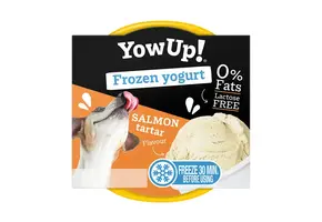 YowUp! Frozen Yogurt Salmon Tartar
