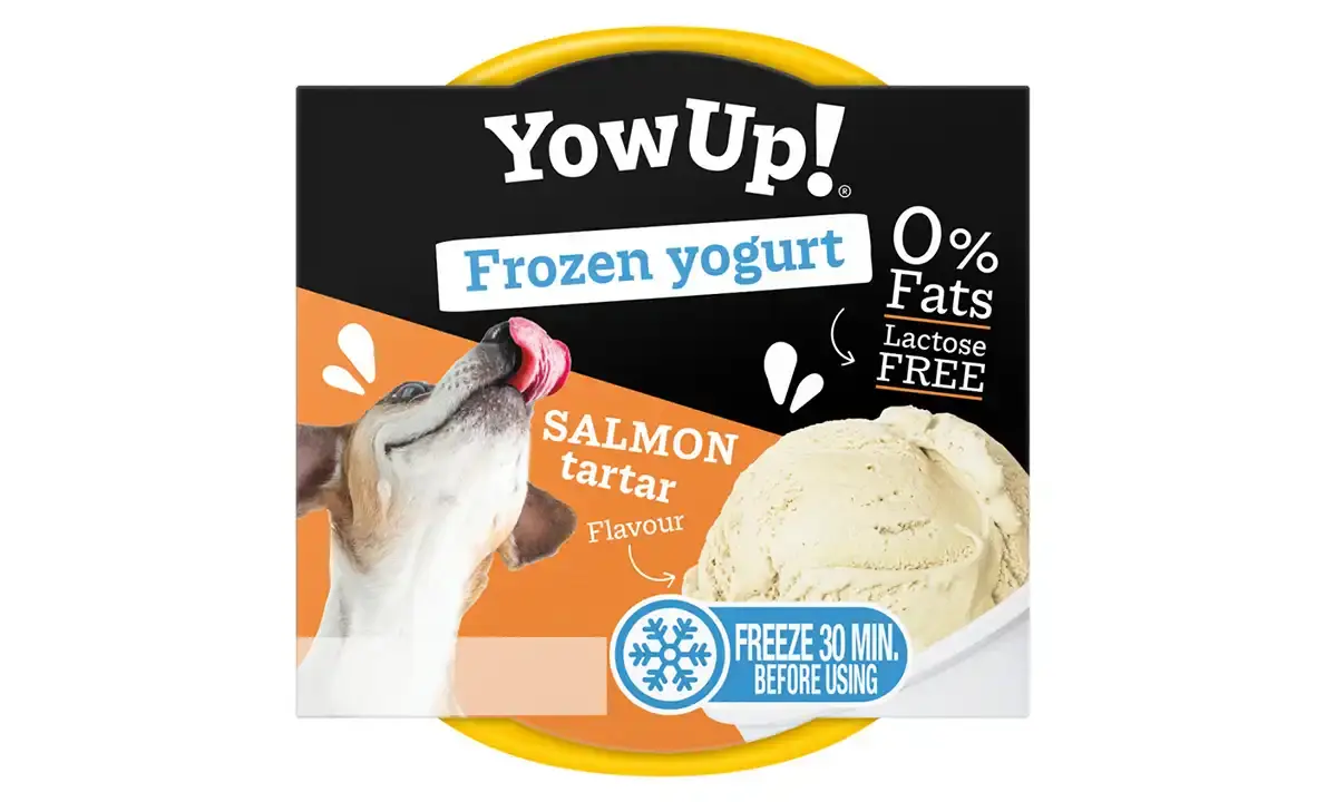 YowUp! Frozen Yogurt Salmon Tartar