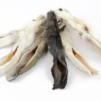 Konijnenoren met Vacht