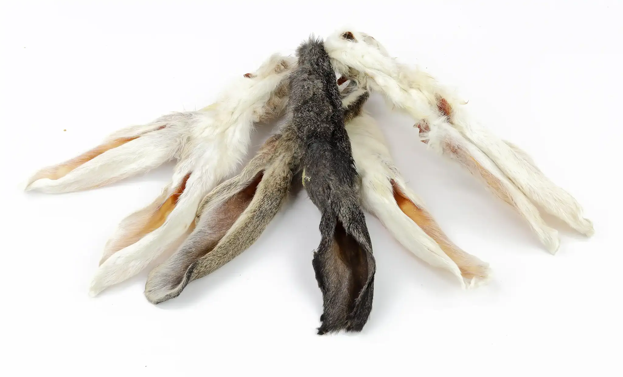 Konijnenoren met Vacht