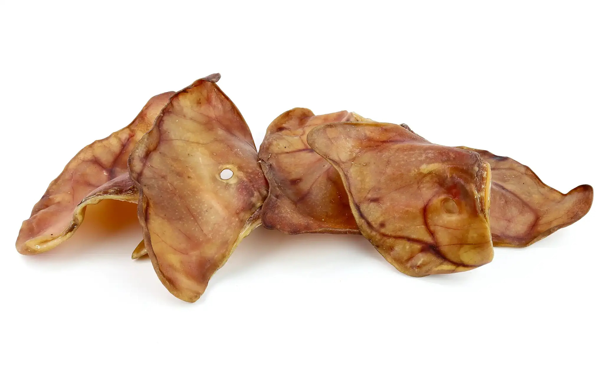 Varkensoren