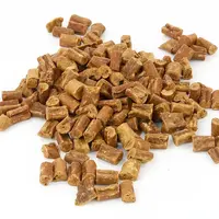 Trainers Struisvogel