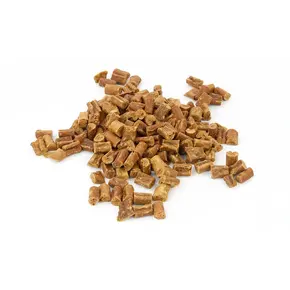 Trainers Struisvogel