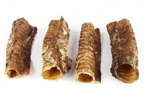 Runderluchtpijp Kort