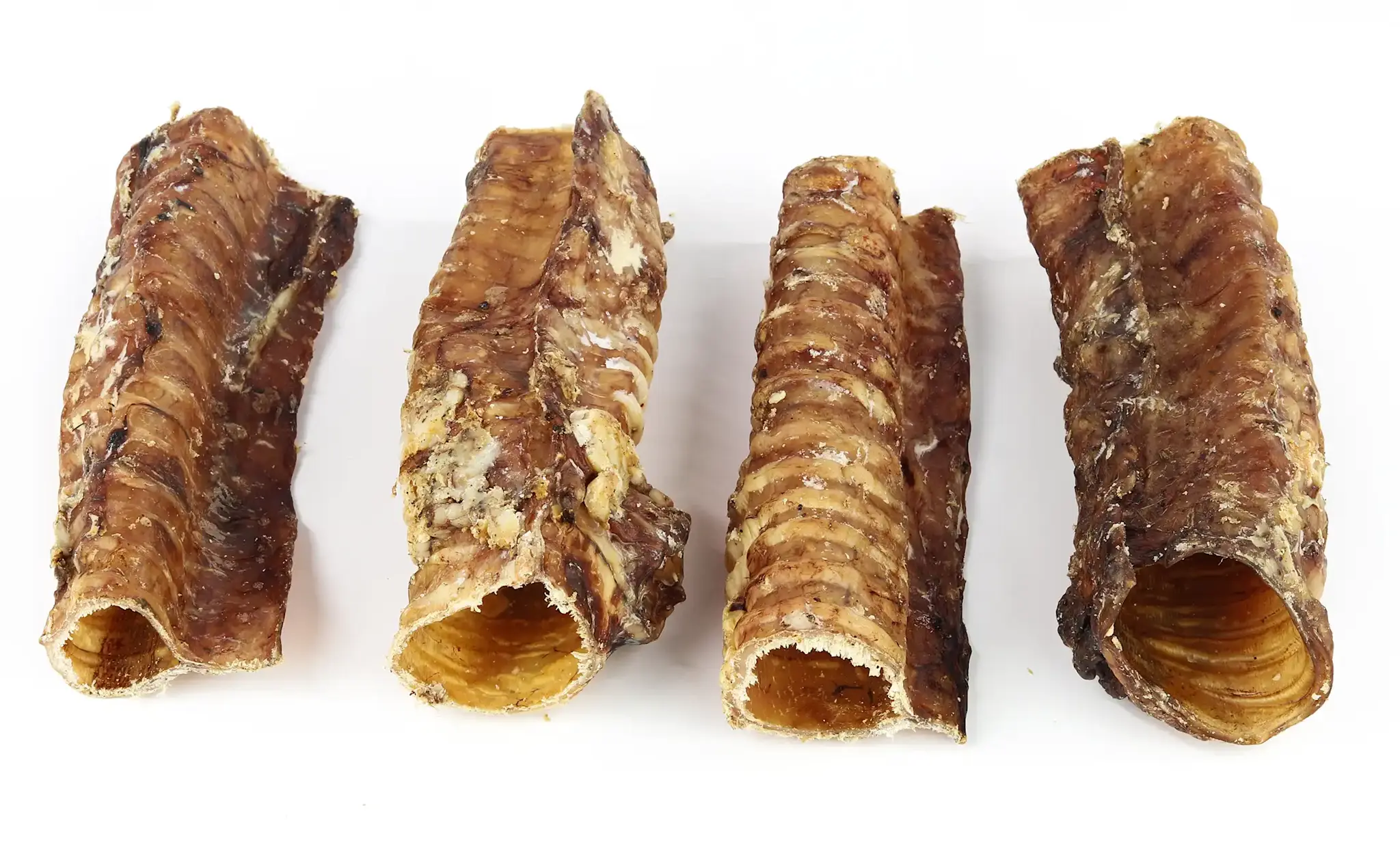 Runderluchtpijp Kort