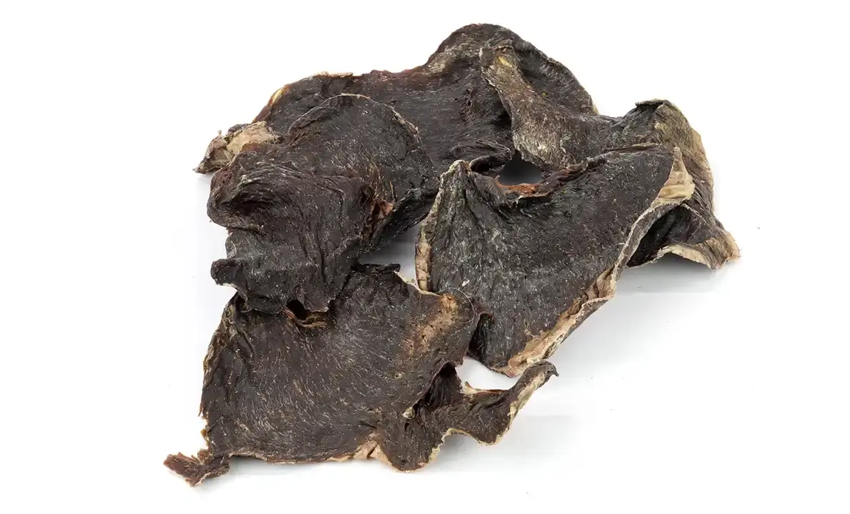 Paarden Filet
