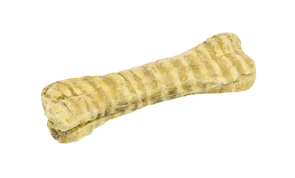 Runderluchtpijp Botvorm