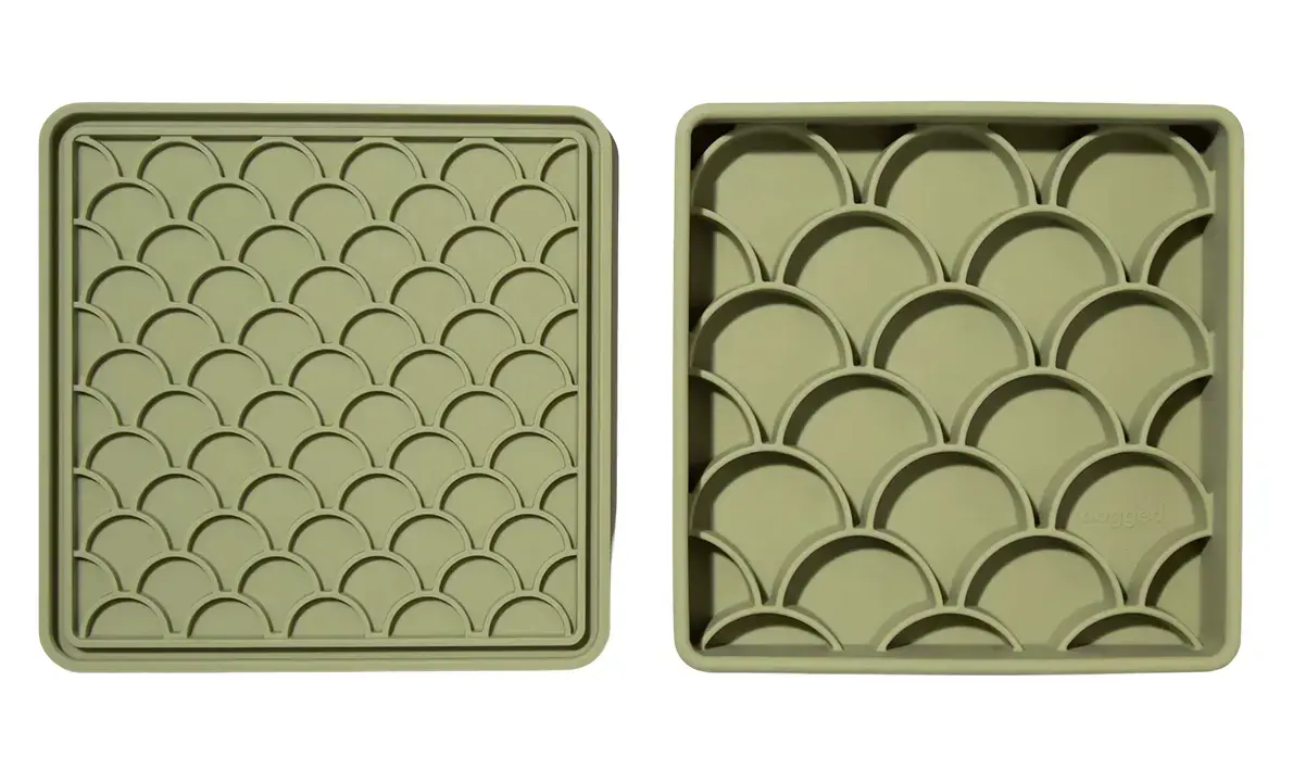 Dogged 3 in 1 Fish Scale Slowfeeder Bowl