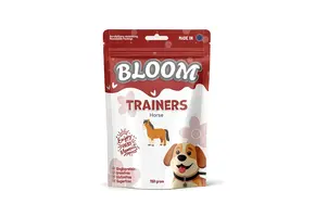 Bloom Trainers Horse