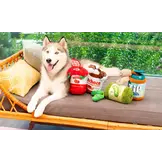 ZippyPaws Bungee Burrow Pickle Jar