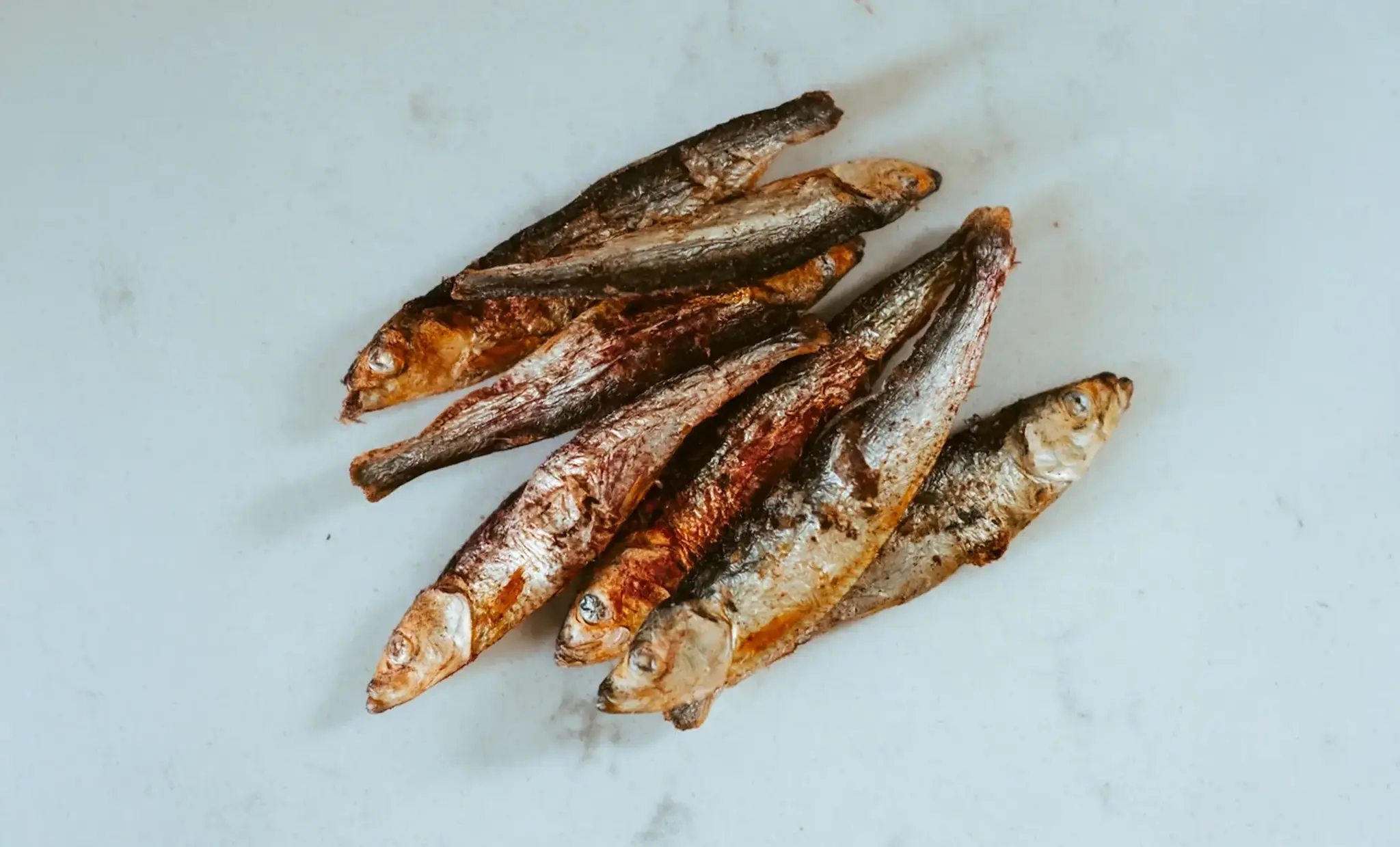 Hokuō® Taste Sprotjes met Rode Bieten